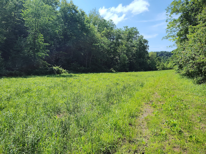60 ACRES +/- & FixER upper HOME for sale $249,900